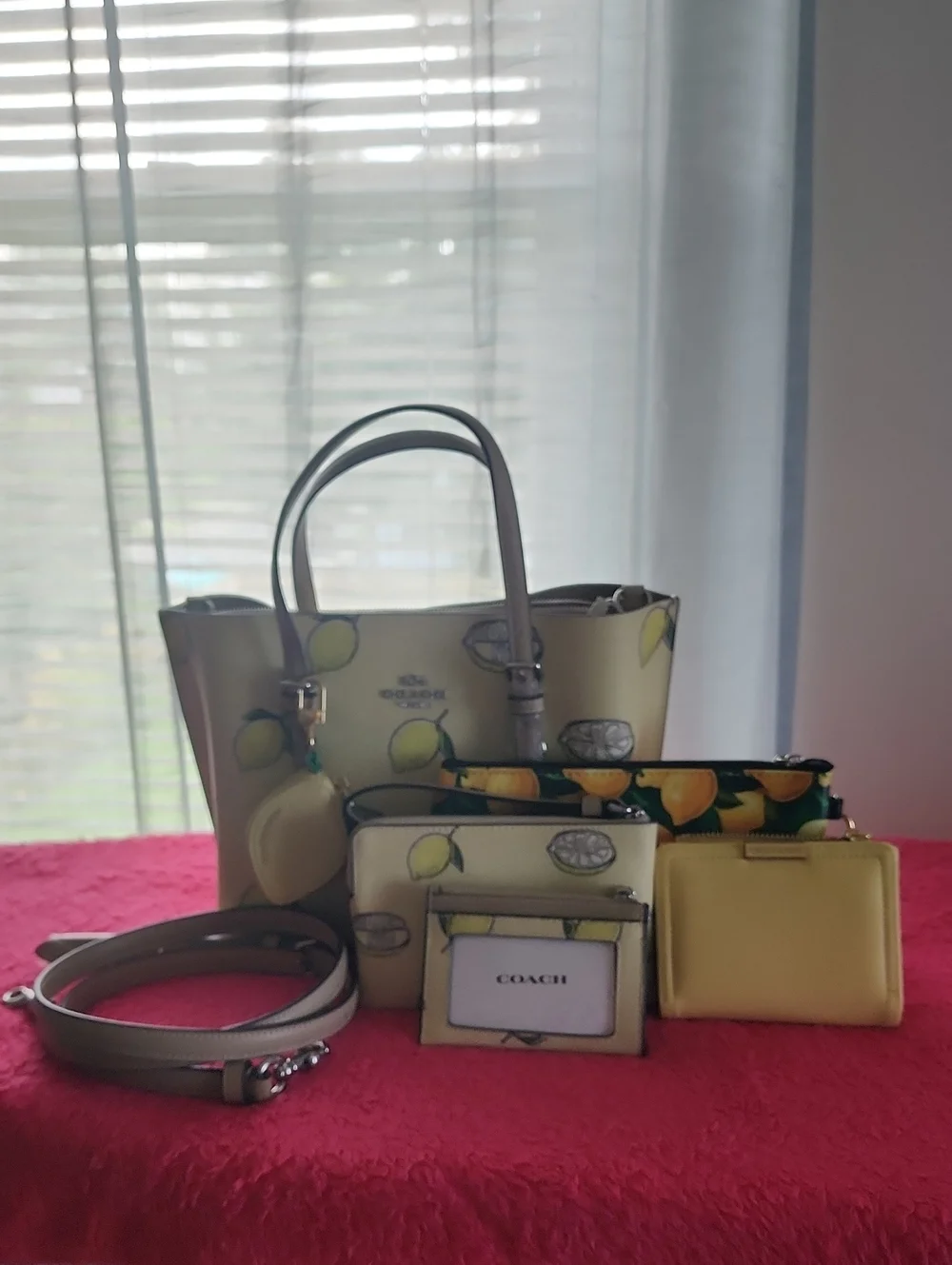 Coach Lemon Print 